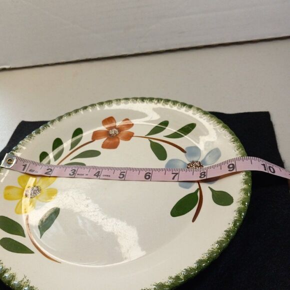 Blue Ridge Hand painted Underglaze Southern Potteries Cottagecore Countrycore - Picture 3 of 6